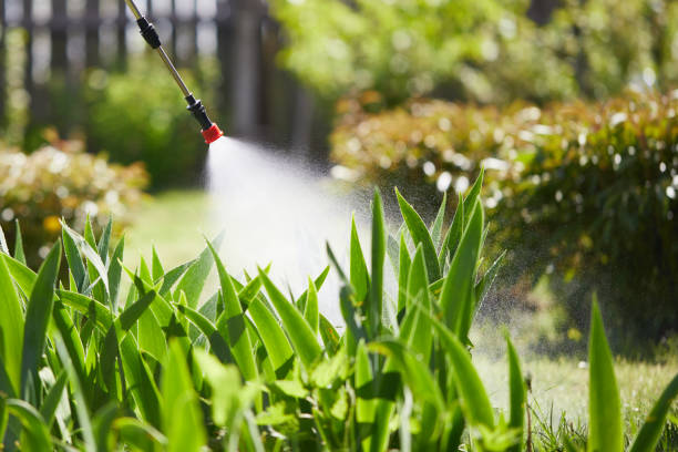 24/7 Emergency Mosquito Control experts in Upper Montclair, NJ