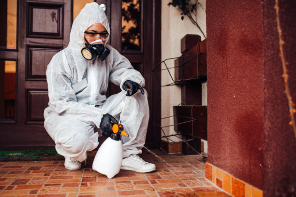 Reliable Mosquito Control contractor in Upper Montclair, NJ by Show Me Pest Control